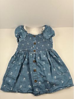 Cat & Jack Girls 2T Blue Chambray Floral Fit & Flare Smocked Button Dress