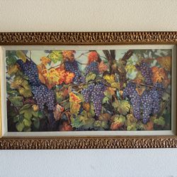 Artwork - Vineyard/grapes