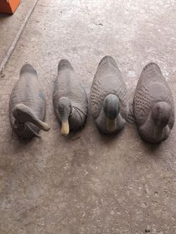Duck decoys