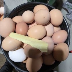Fresh Farm Eggs - Unwashed
