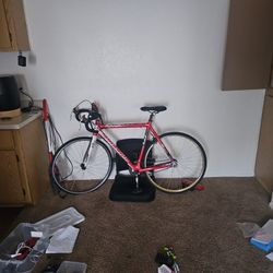 Road Bike 