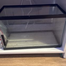 Fish Tank