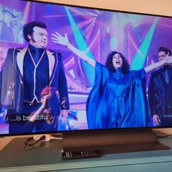 Vizio OLED 55" 4k TV WITH remote USED works Great