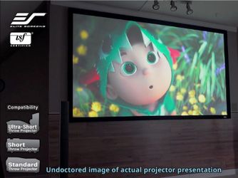 200" fixed frame elite theater screen