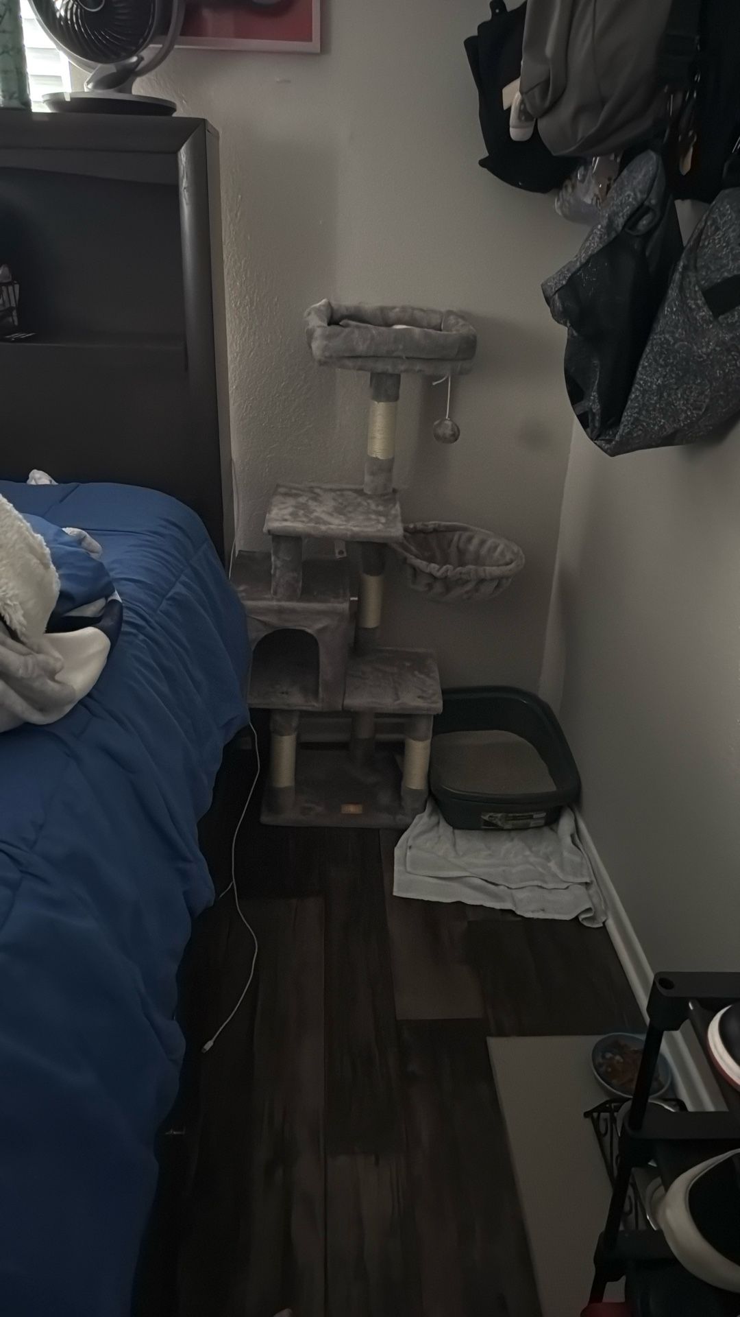 Cat Tower