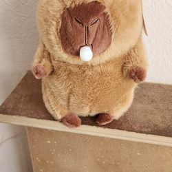 Capybara Stuff animal