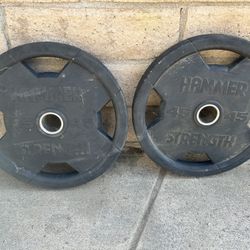 Hammer Strength Rubber Olympic Plate 