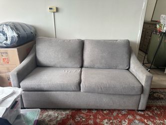 Free C&B Queen Sleeper Sofa