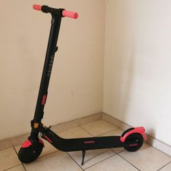 Ninebot Electric Kick Scooter