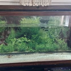 55 Gallon Tank With Metal Stand