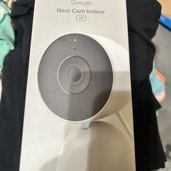 Nest Cam