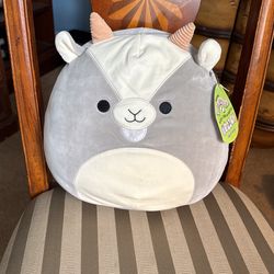 Squishmallow Walker Medium 