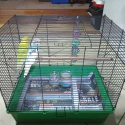 Parakeets And Cage