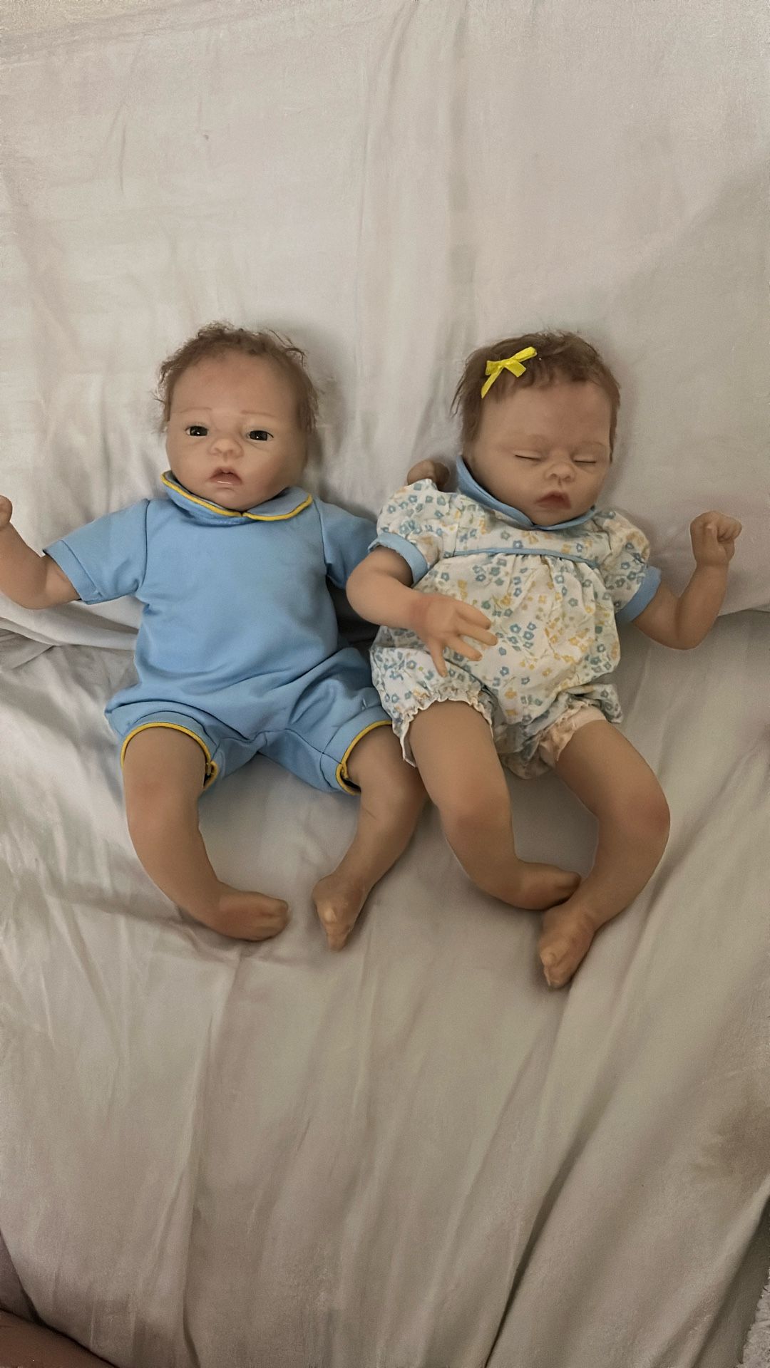 Ashton Drake Reborn twins