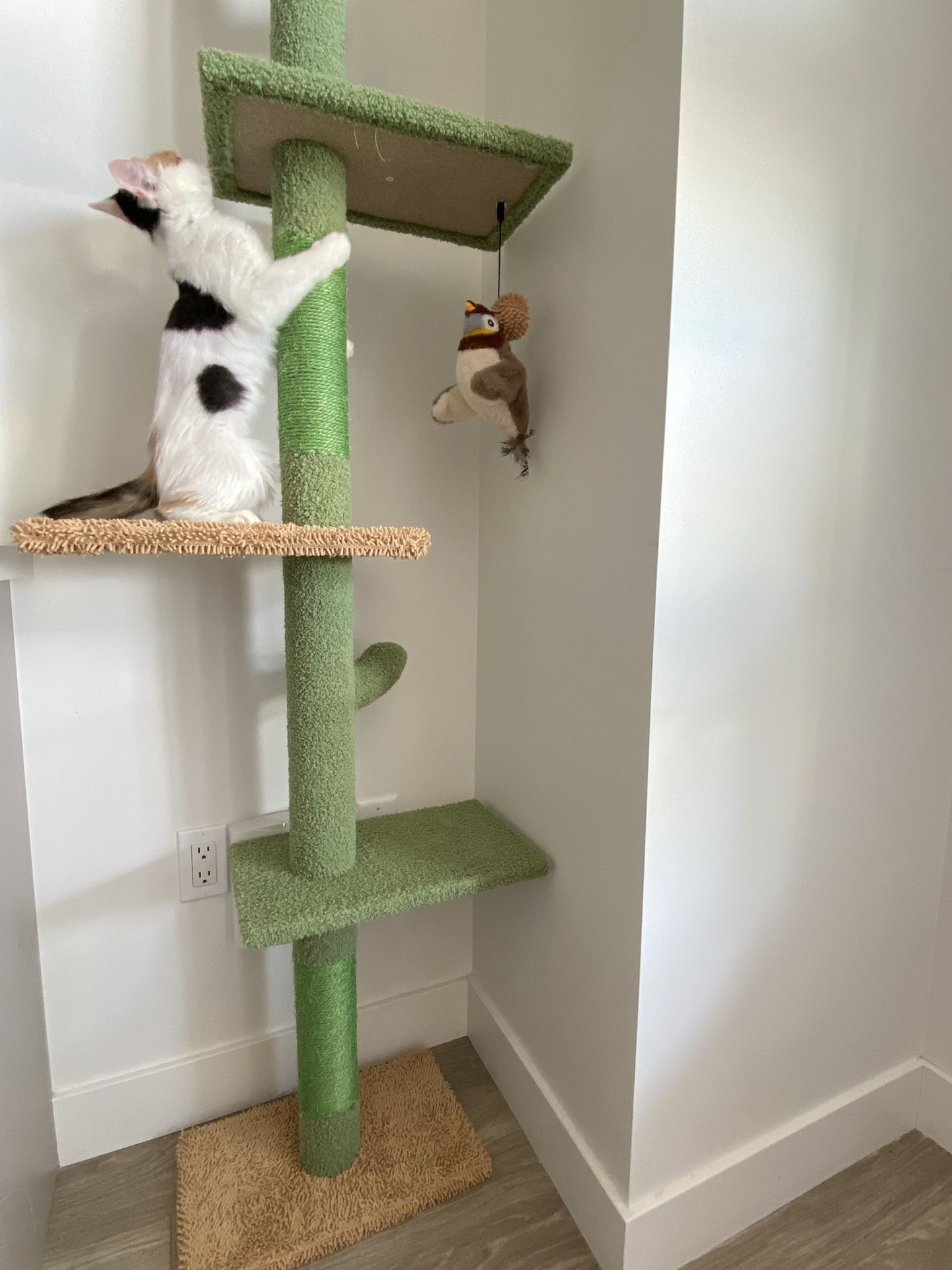 Pawz Floor to Ceiling Cat Tree
