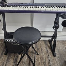 Professional PIANO and AMPLIFIER
