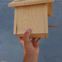 Bird House 
