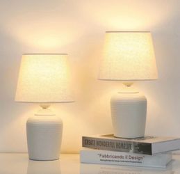 Cute Small 11.8'' Table Lamps Set of 2,