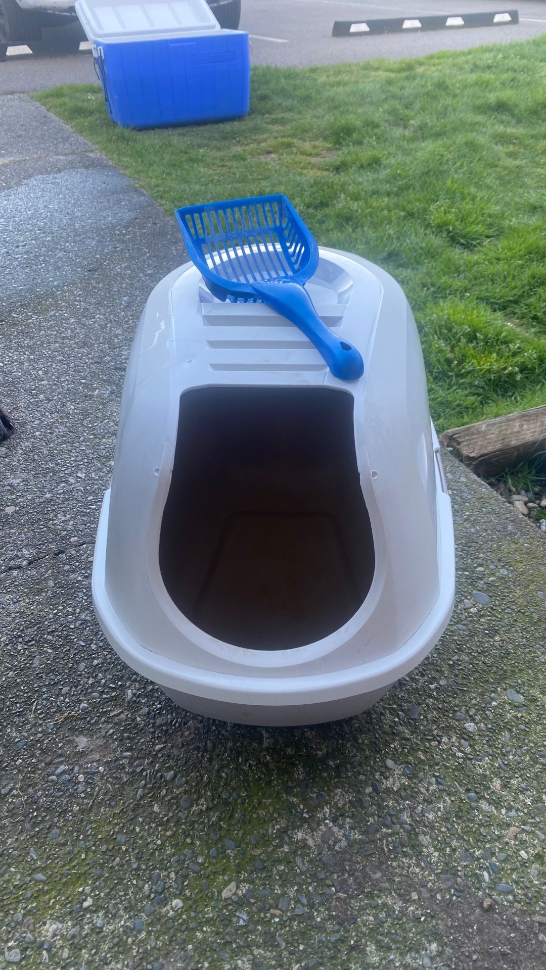 Cat Box And Scoop For Sale