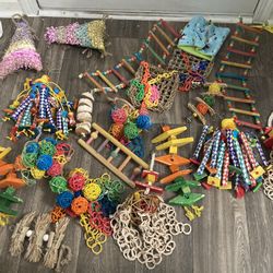 Bird Toys