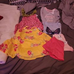 Baby Girl 6 Piece Clothing Lot Size 12-24mths