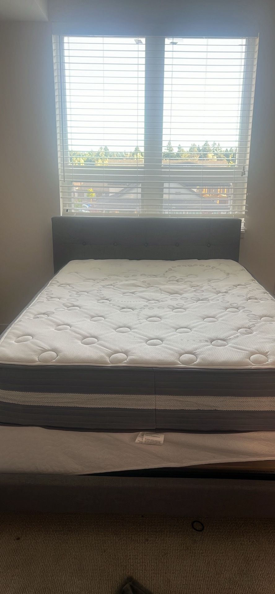 Bed Frame Mattress And Box Spring 