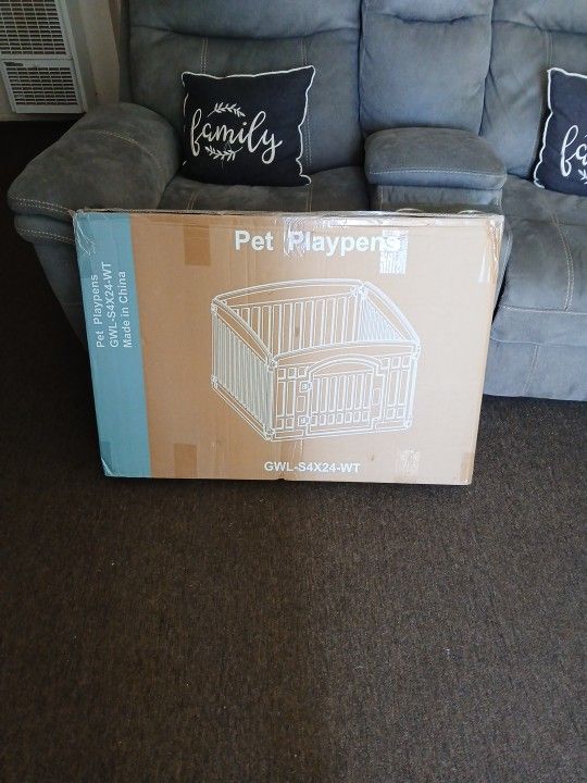 Playpin