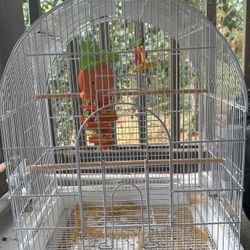 Birdcage 