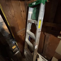 Werner Ladder 5’
