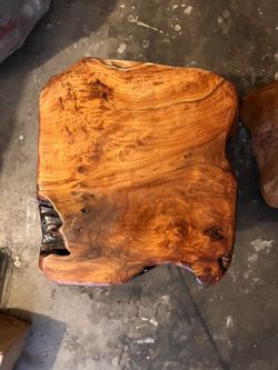 TREE WOOD SEATS - PERFECT FOR THE OUTDOORS