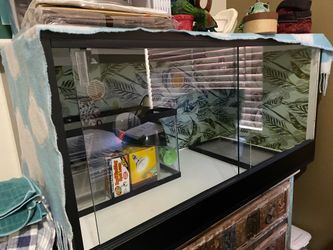- terrarium (sliding glass, enclosed doors) 48in X 24in