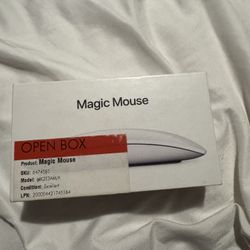 Apple Mouse