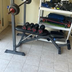 Great Fitness Bench And Weights 