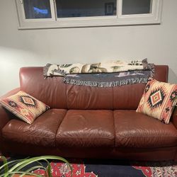 Leather Couch With Reddish Tiny