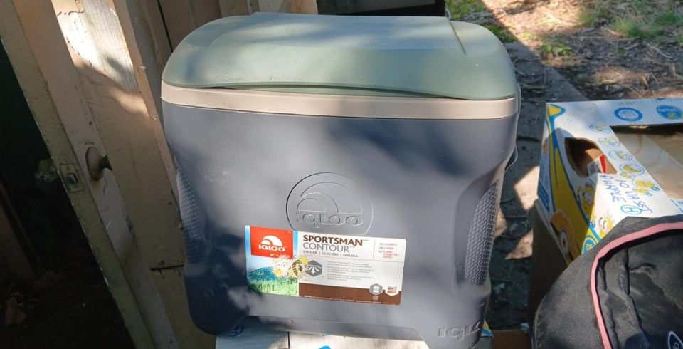 Igloo Cooler 15.00