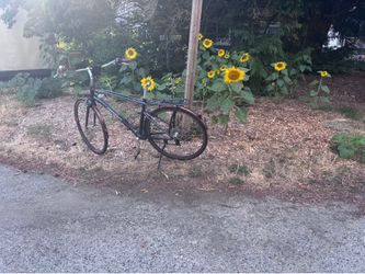 Momentum bicycle