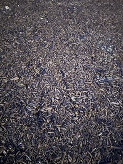 Mulch (Free)