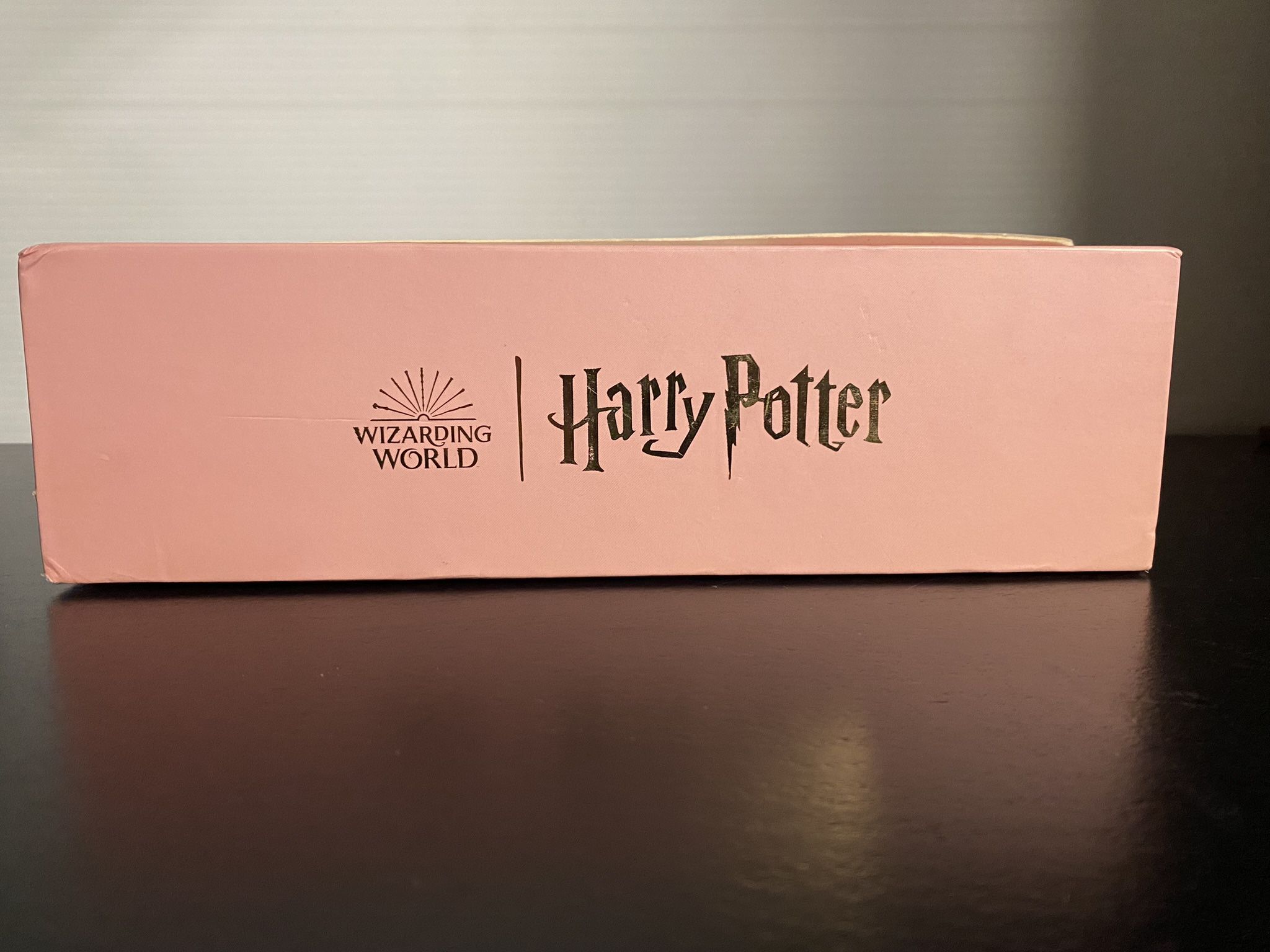 Harry Potter Resin Craft