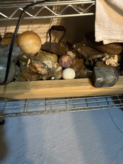 Bunch Of Fossil Rocks