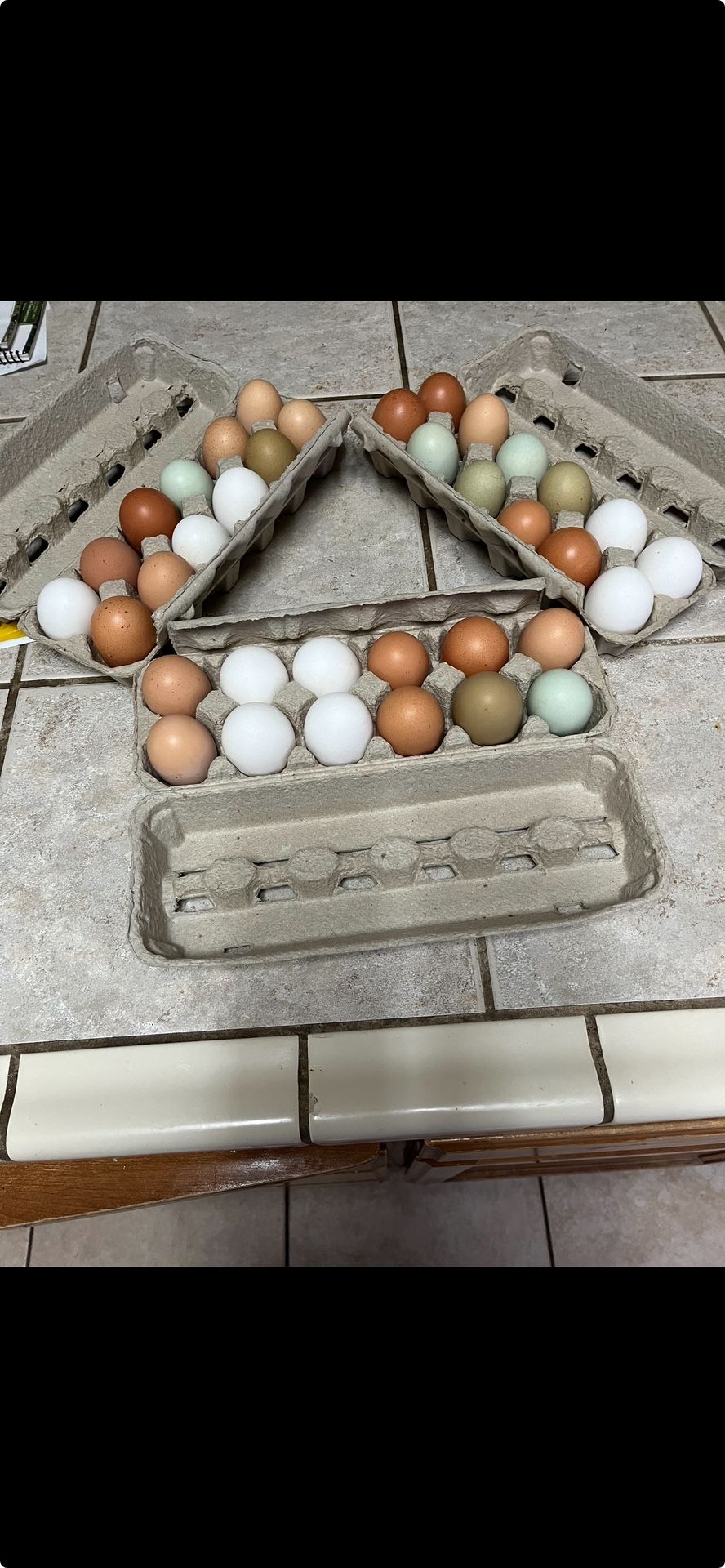 Farm Fresh organic eggs $4 a Dozen