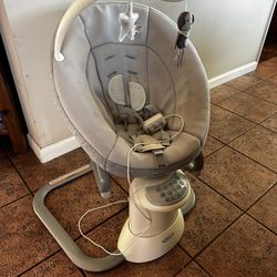 Graco Baby Swing & Rocker 
