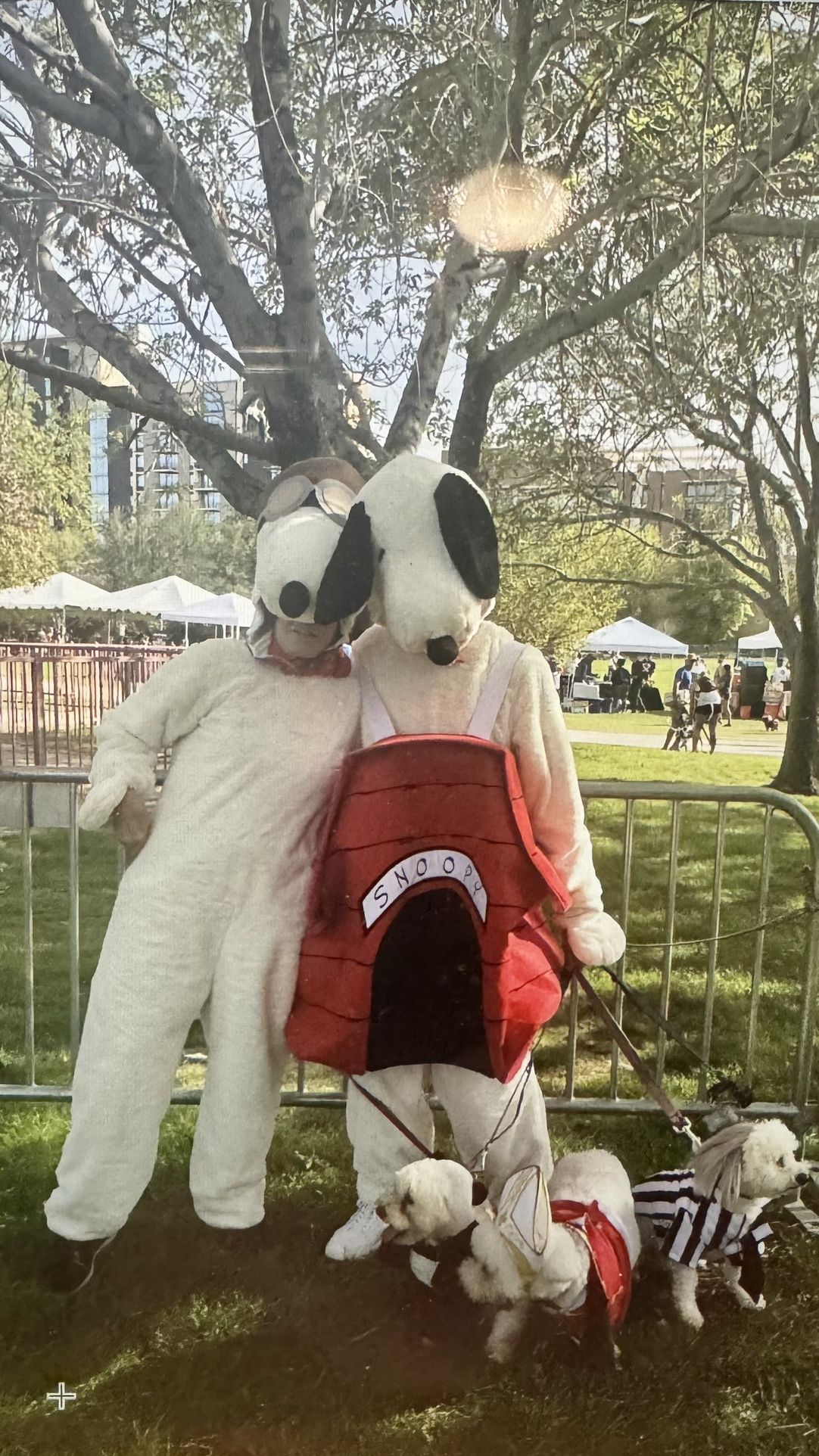Halloween Snoopy Adult Costumes (2)
