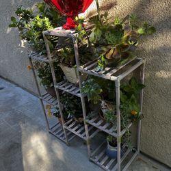 Plants Stand  Solid Wood 