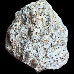Garnets In Mica Specimen. Gemstones Crystals Rocks Minerals