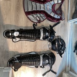Catchers Champion And Adam’s Gear Baseball Softball Adult Set