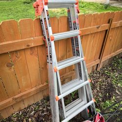 Little Giant Ladder