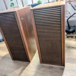 Vintage GRUNDIG Speakers (Rare German)