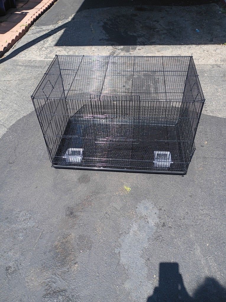 Bird Cage