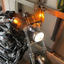 Harley 2013 , 110  Anniversary 