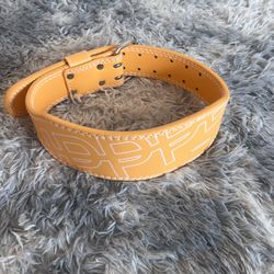 UPPER Lifting Belt For Weightlifting and Gym 